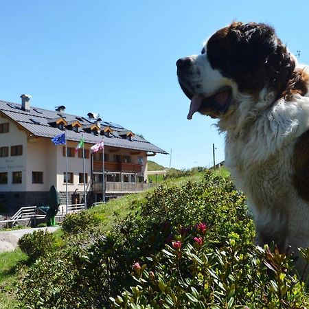 Rifugio Capanna Passo Valles Falcade Ngoại thất bức ảnh