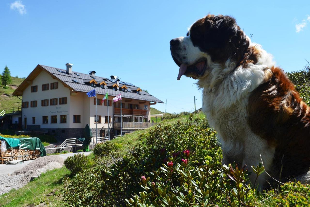Rifugio Capanna Passo Valles Falcade Ngoại thất bức ảnh